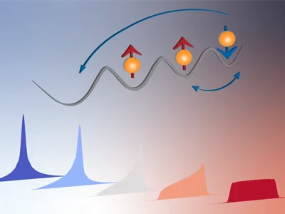 A Sim­ple Spin Swap Reveals Exotic Anyons